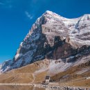 동신할인마트 | 스위스 자유여행 여름 융프라우 VIP패스 동신항운 혜택 할인