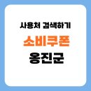백령기업 | 민생회복 소비쿠폰 옹진군 사용처 및 신청방법 총정리