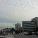 방배동대우효령아파트앞 이미지