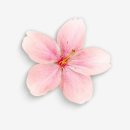 울진농협 이미지