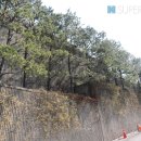 성북동-861 이미지