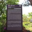 석정 주장군 Daum카페