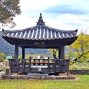 산하유