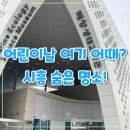 롯데프레시시흥거북섬점 | 시흥 거북섬 아이와 가볼만한곳, 해양생태과학관 솔직후기