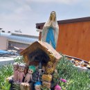 공방에 마련한 작은 성모동산. 이미지