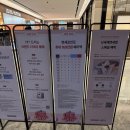 4095 | 신세계면세점 명동점 ‘셀린느 루이즈백 스몰’ (375만원 -> 230만원) 구매후기