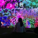 경주숲속생명의원 | 아트 전시| 아이와 함께 실내에서 전시 구경하고 야외에서 뛰어 놀수 있는, 경주 라원(feat.방문후기)