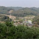 정월농수산 이미지