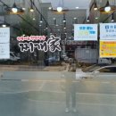 경포아파트~감추사 이미지