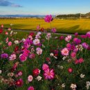 정병공인중개사사무소 이미지