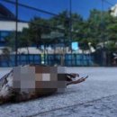 국립생태원동물병원 이미지