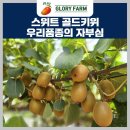 한라농경영농조합법인 | [제주 키위 교육 후기] 로열티 없는 우리 품종 &#39;스위트 골드&#39; 키위의 비밀