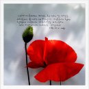 관하보건진료소 이미지