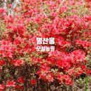 오성농원
