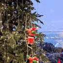 강변의 하루 이미지