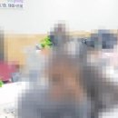 소망이 자라는 나무 이미지