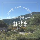아기랑 &#34;화담숲&#34;으로 가을여행 다녀오기!