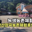 칠갑산장곡마을 이미지