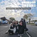 우리오토캠핑장 | 평택 진위천 유원지 오토캠핑장 후기 봄 캠핑 추천 예약방법부터 꿀팁까지