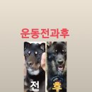 YES공무원체력전문PT 이미지