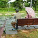 백년약속 Daum카페