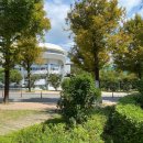 월드컵인라인스케이트장 이미지