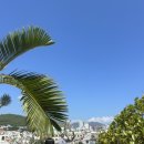 정조로 914 이미지