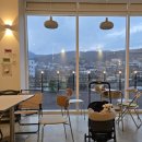 로이사 | 고기리애견동반카페 로이사 베이커리맛집