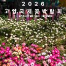 마두공원(정발초 옆) | 2026 고양 국제 꽃 박람회_어린이날 다녀온 후기(~5월10일까지)