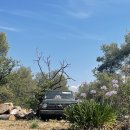 주간탁구 이미지