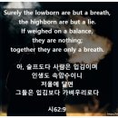 LOWBORN 이미지