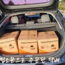 은행정농장 이미지