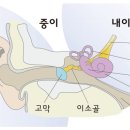 메디케어보청기 이미지