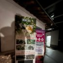 오량황토찜질방 이미지