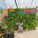 아리랜드 이미지