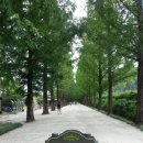 중앙동3가061 이미지