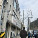 동태찌개 유명한집(본점) | 연무동맛집추천 동태찌개유명한집