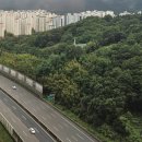 라이크영어교습소 이미지