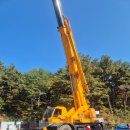 강릉굿모닝 이미지