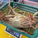 대게샵 점 이미지