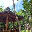 선바위자연캠핑장 이미지