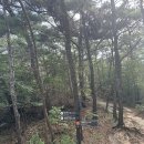 나뚜루신림중앙 | 8월 11일, 가장 가까운 계곡