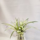 수원시 팔달구 창룡대로 이미지