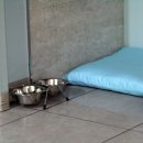 멍이네 하우스 이미지