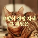 비밀