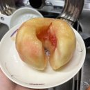 밀림의 왕 8월 일기!