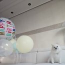 원익큐엔씨 안성지점 직원식당 | 안성 애견동반 파스타 맛집 그랜마스 안성칠곡저수지점