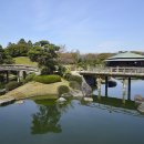 비조곡지 이미지