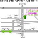 오로라네일 Daum카페