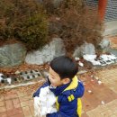 용문산관광지(야영장) 이미지